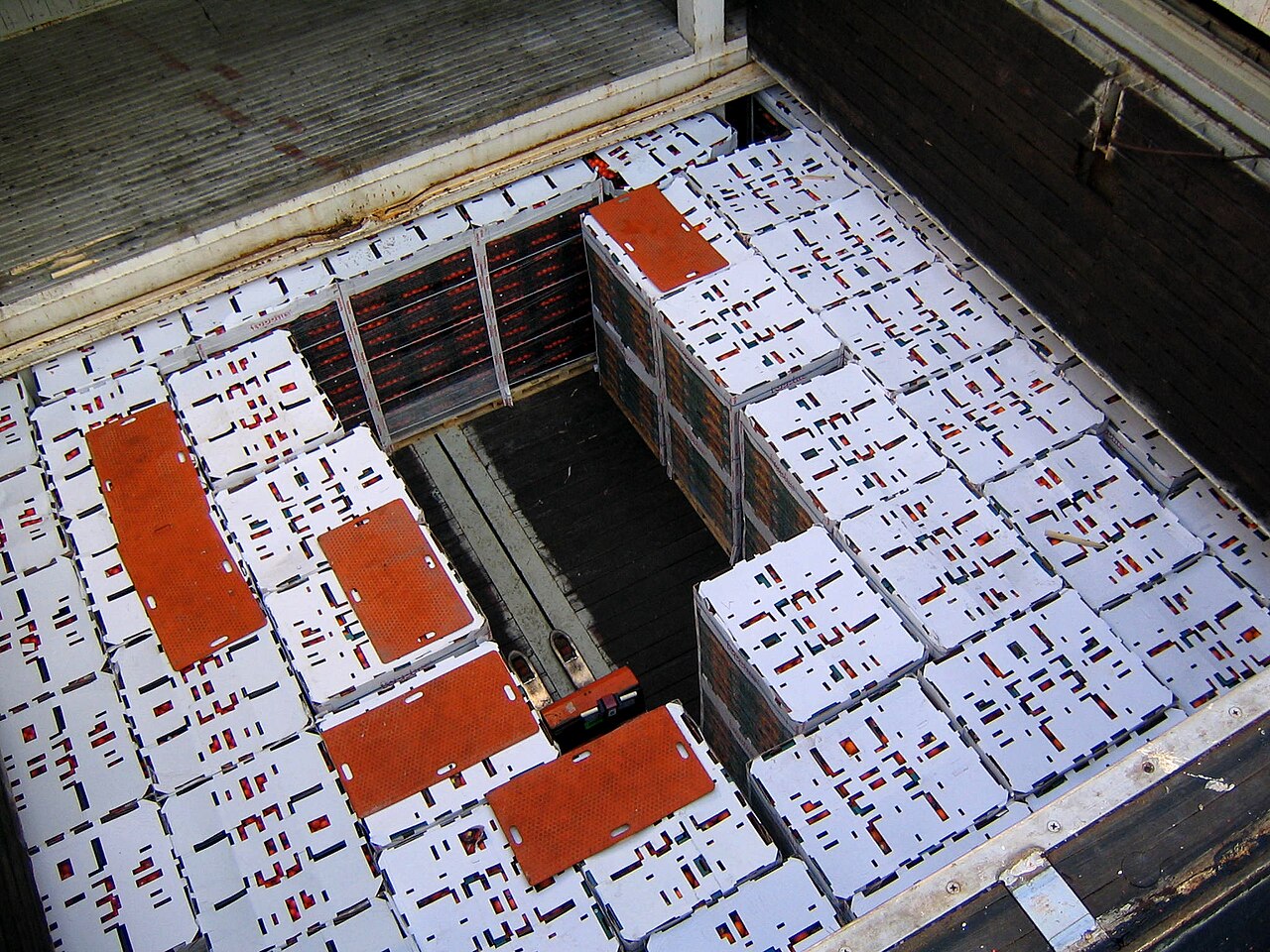 Cold chain shipment pallets in a refrigerated environment